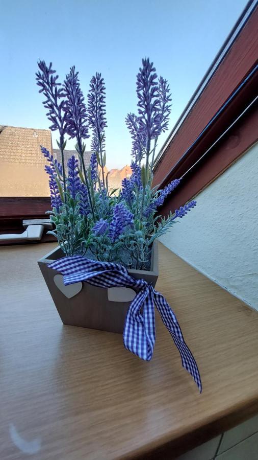 מינדן Ferienwohnung Weser מראה חיצוני תמונה